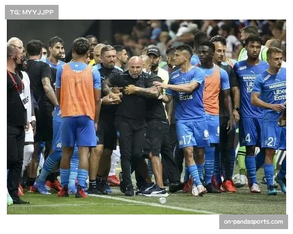 针对近期球迷事件，法甲内政部要求加强关键场次安保等级